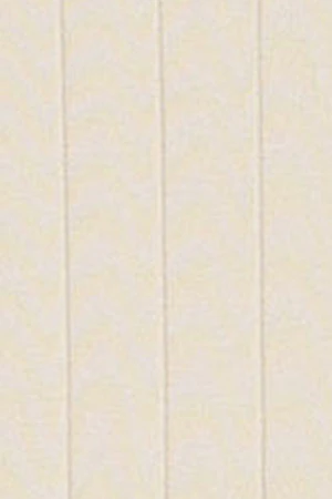 Imagen del producto 11